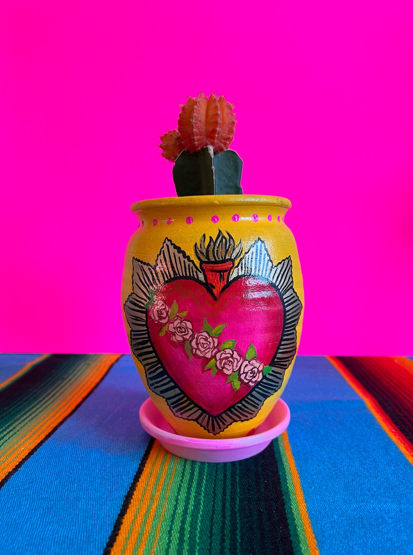 El Corazoncito Maceta