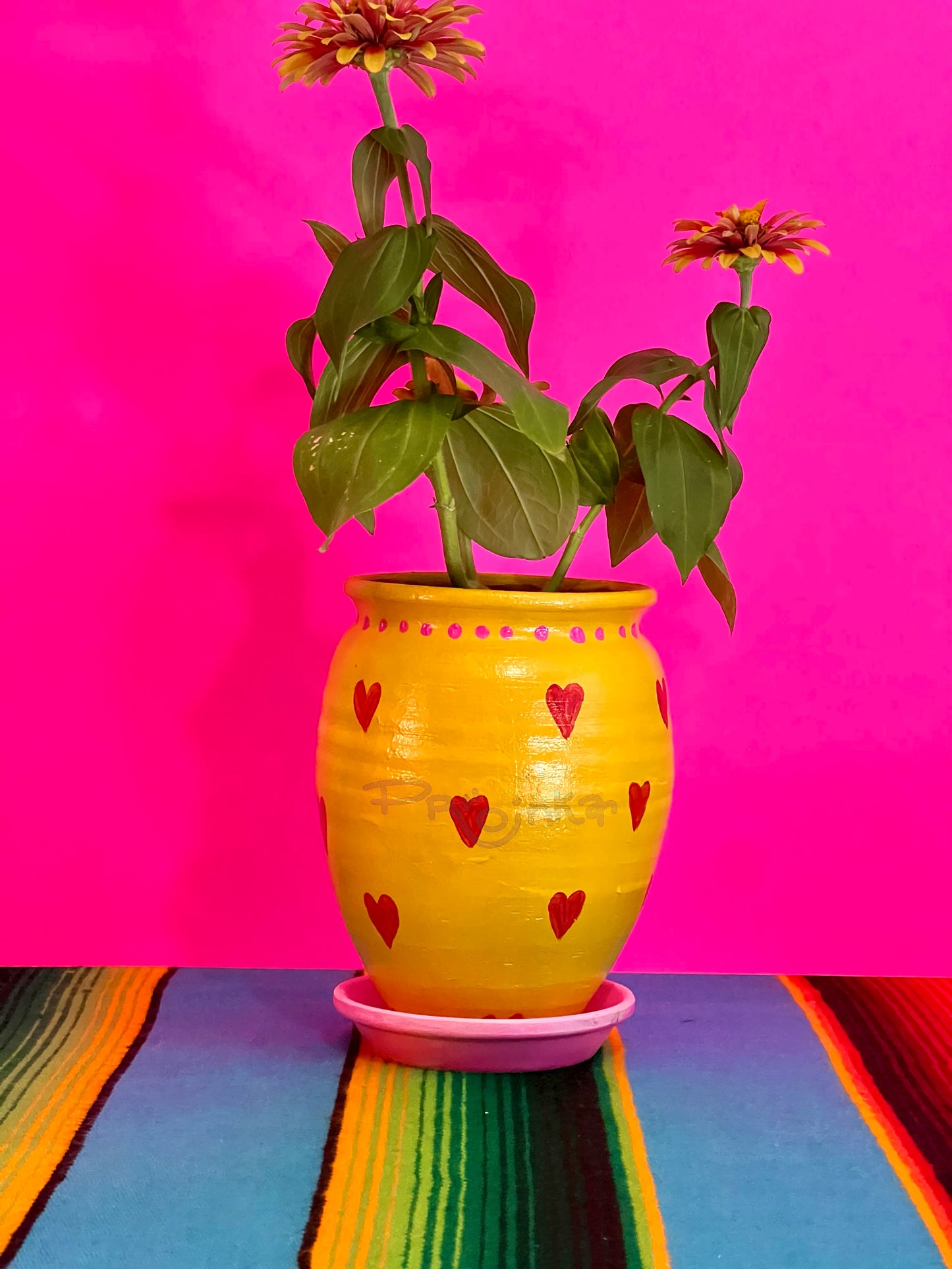 El Corazoncito Maceta