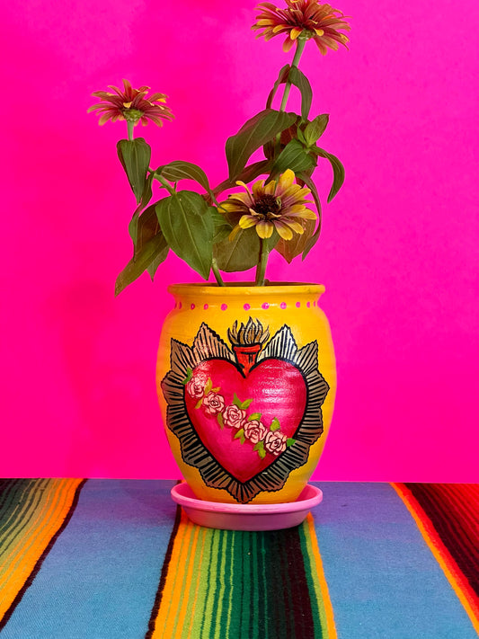 El Corazoncito Maceta
