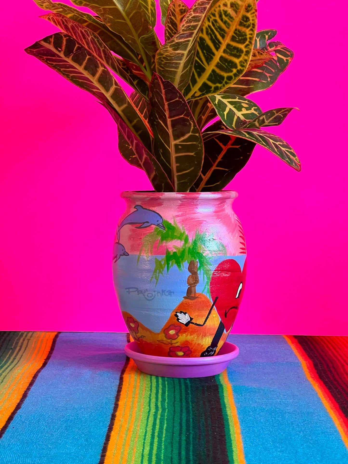 Verano Baby Maceta
